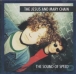 The Jesus and Mary Chain&nbsp;-&nbsp;Sound of speed