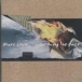 Marc Cohn&nbsp;-&nbsp;Burning the daze