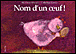 Nom d'un oeuf&nbsp;-&nbsp;Bérénice Deru-Renard, Catherine Pineur
