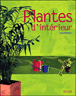 Plantes d'intérieur&nbsp;-&nbsp;Anja Flehmig