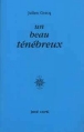 Un beau ténébreux&nbsp;-&nbsp;Julien Gracq