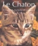 Le chaton