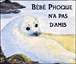 Bebe phoque n'a pas d'amis