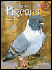 L'élevage des pigeons&nbsp;-&nbsp;Alain Fournier