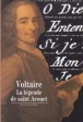 Voltaire&nbsp;-&nbsp;Jean Goldzink