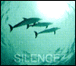 Compilation Classique&nbsp;-&nbsp;Silence 2