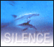 Compilation Classique&nbsp;-&nbsp;Silence Choeurs