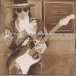 Stevie Ray Vaughan, Double Trouble&nbsp;-&nbsp;Live at Carnagie Hall