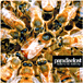 Paradise Lost&nbsp;-&nbsp;Believe in nothing