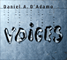 Daniel D'Adamo&nbsp;-&nbsp;Voices