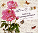 Coffret de correspondance&nbsp;-&nbsp;Marthe Seguin-Fontes