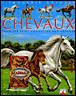 Les chevaux&nbsp;-&nbsp;Collectif