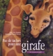 Pas de taches pour une girafe
