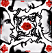 Red Hot Chili Peppers