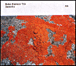 Bobo Stenson Trio&nbsp;-&nbsp;Serenity