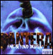 Pantera