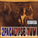 2 Pac&nbsp;-&nbsp;2 pacalypse now