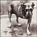 Alice in Chains&nbsp;-&nbsp;Alice In Chains