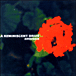 A Reminiscent Drive&nbsp;-&nbsp;Ambrosia