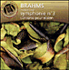 Johannes Brahms&nbsp;-&nbsp;Concerto pour violon - Symphonie N°3