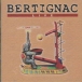 Louis Bertignac