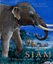 Siam&nbsp;-&nbsp;Daniel Conrod, François Place