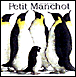 Petit manchot&nbsp;-&nbsp;Patrick Benson