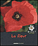 La fleur&nbsp;-&nbsp;Violette Rennert