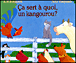 Ca sert a quoi un kangourou&nbsp;-&nbsp;J. Chapman