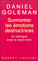 Surmonter les émotions destructrices&nbsp;-&nbsp;Dalaï Lama XIV, Daniel Goleman