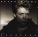 Bryan Adams&nbsp;-&nbsp;Reckless