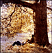 John Lennon, Plastic Ono Band&nbsp;-&nbsp;John Lennon-Plastic Ono Band