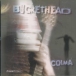 Buckethead