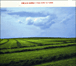Girls In Hawaii&nbsp;-&nbsp;From here to there