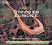 Christoph Willibald Von Gluck&nbsp;-&nbsp;Orfeo ed Euridice
