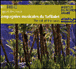 Compilation musique marocaine