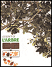 Les secrets de l'arbre&nbsp;-&nbsp;David Burnie