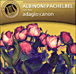Tomaso Albinoni, Johann Pachelbel&nbsp;-&nbsp;Adagios