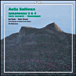 Aulis Sallinen&nbsp;-&nbsp;Symphonies N°2 et N°4