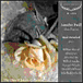Jennifer Paull, Read Grainsford
