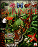 Les animaux de la jungle&nbsp;-&nbsp;Collectif