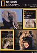 Le Langage des éléphants d'Etosha - Lions et hyènes - Edition Digipack&nbsp;-&nbsp;Documentaire sur la faune