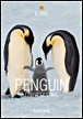 Penguins&nbsp;-&nbsp;Frans Lanting