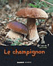 Le champignon&nbsp;-&nbsp;Valérie Guidoux