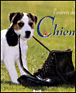 L'univers du Chien