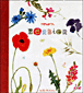 Mon herbier&nbsp;-&nbsp;Collectif