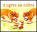 Deux tigres en colère