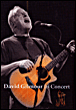 David Gilmour In concert