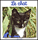 Le chat&nbsp;-&nbsp;Natacha Fradin