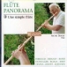Pierre-Octave Ferroud, Claude Debussy, Rivier